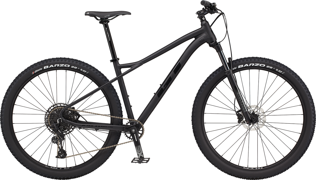 Avalanche expert 29 outlet